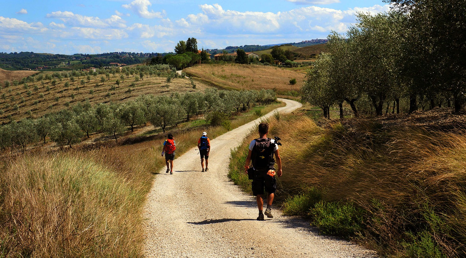 La Via Francigena in Toscana: Tappe e Consigli per il Cammino
