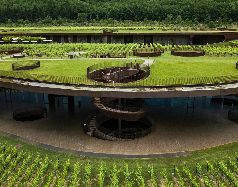 Vini della Toscana: Guida alle Cantine da Non Perdere