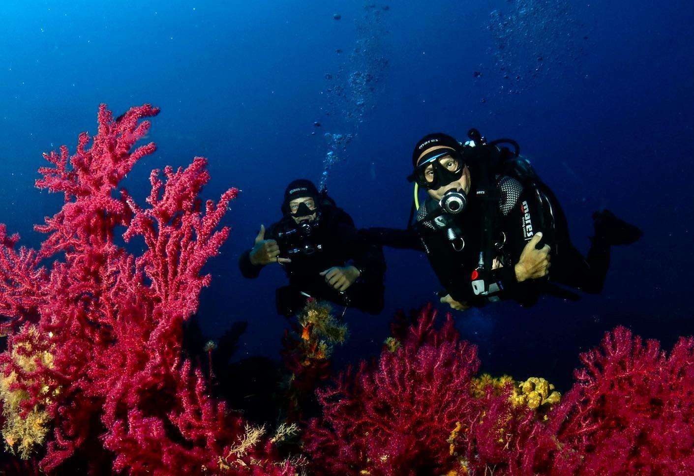 Dove Fare Immersioni Subacquee in Toscana: I Migliori Spot