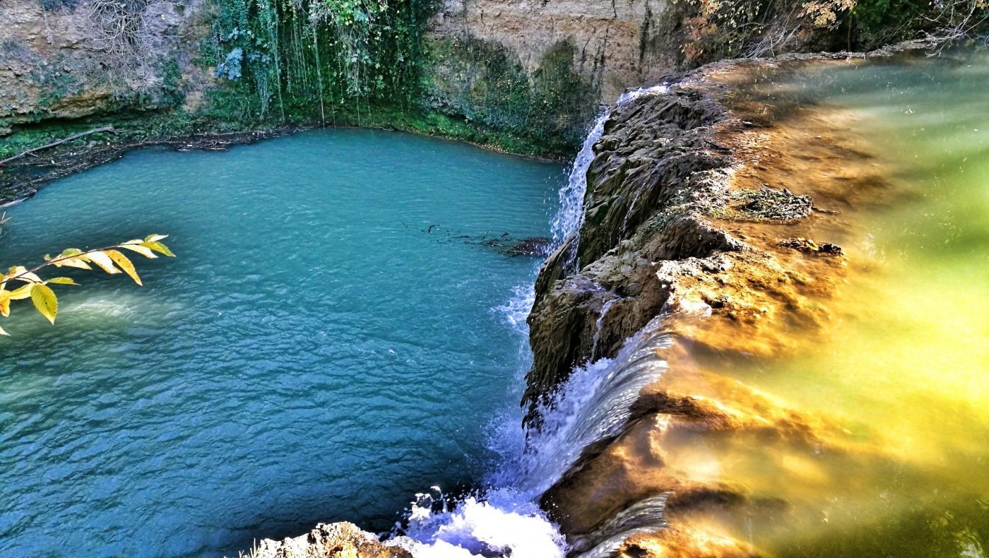Marzo in Toscana: 5 Passeggiate tra i Cipressi e le Prime Fioriture