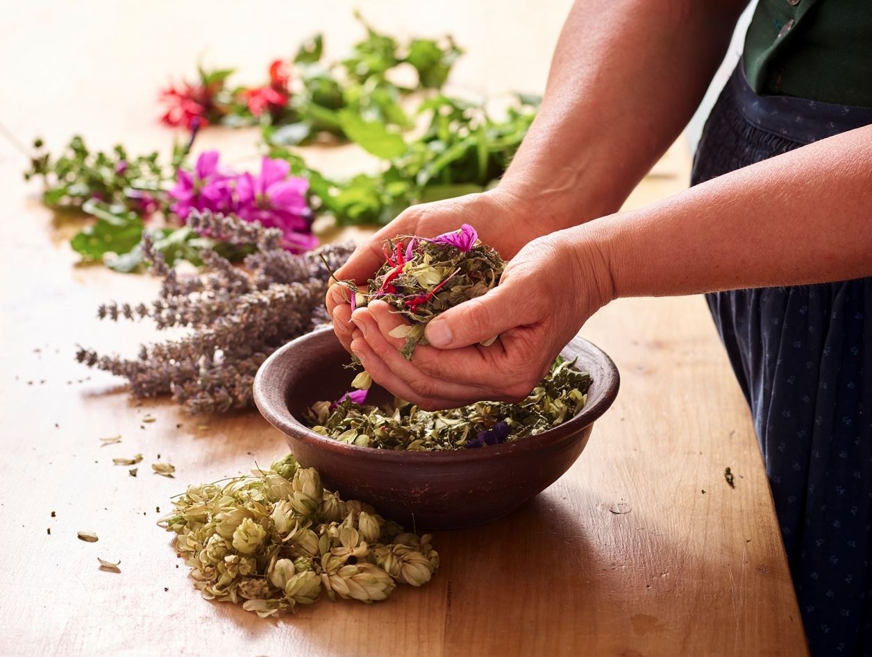 Andar per Erbi: L’Arte Antica della Raccolta Spontanea in Toscana