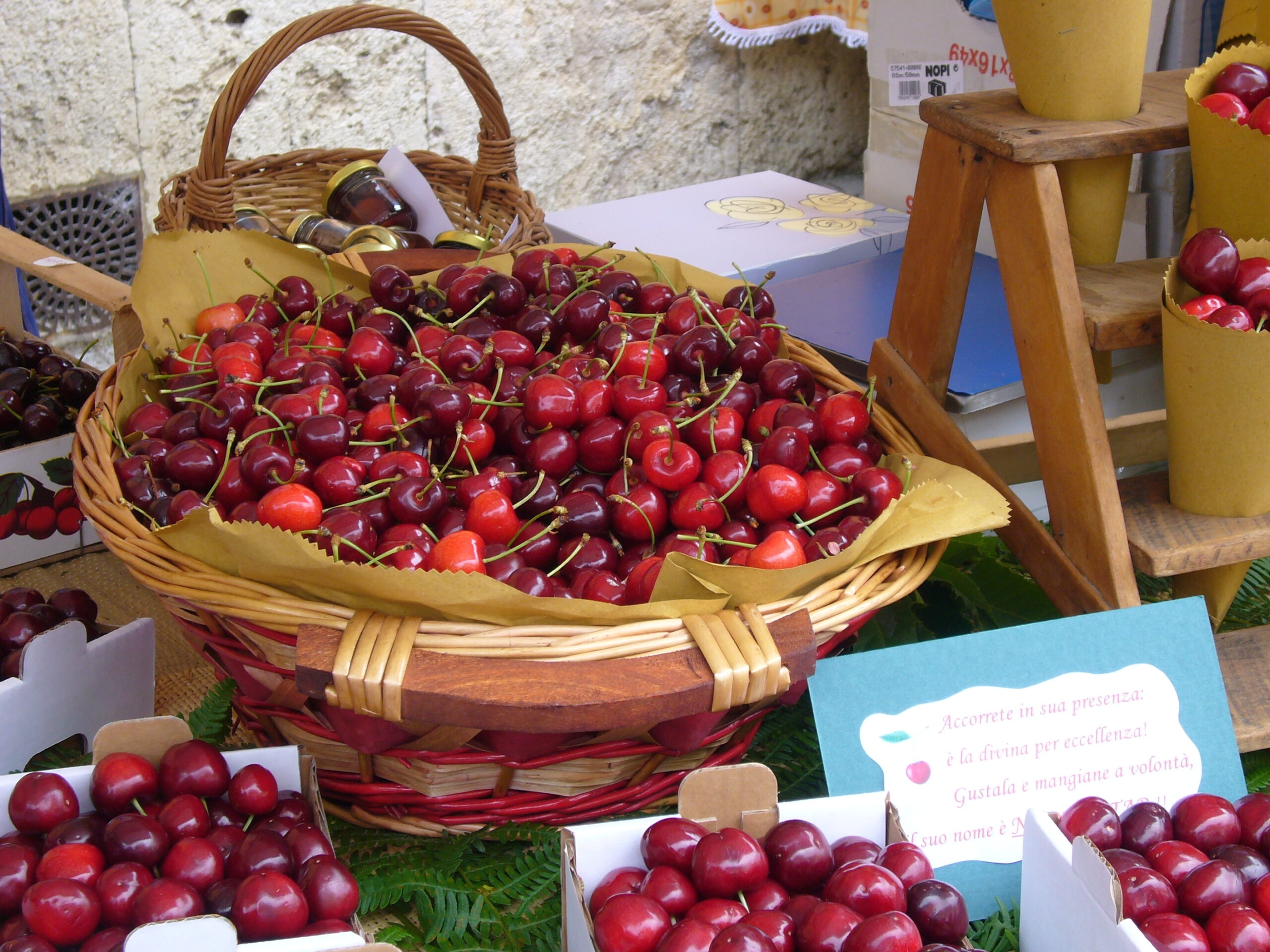 La Ciliegia di Lari IGP: il gioiello rosso delle Colline Pisane che torna a splendere a fine maggio