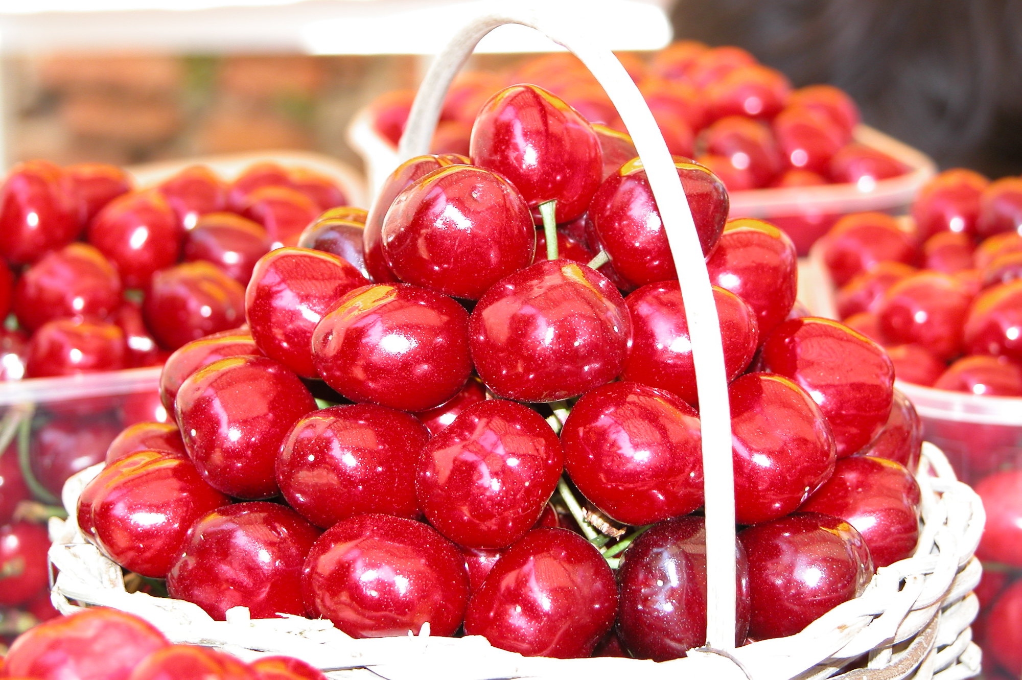Sagra della Ciliegia e ritrovi della frutta antica: i paradisi golosi della Toscana