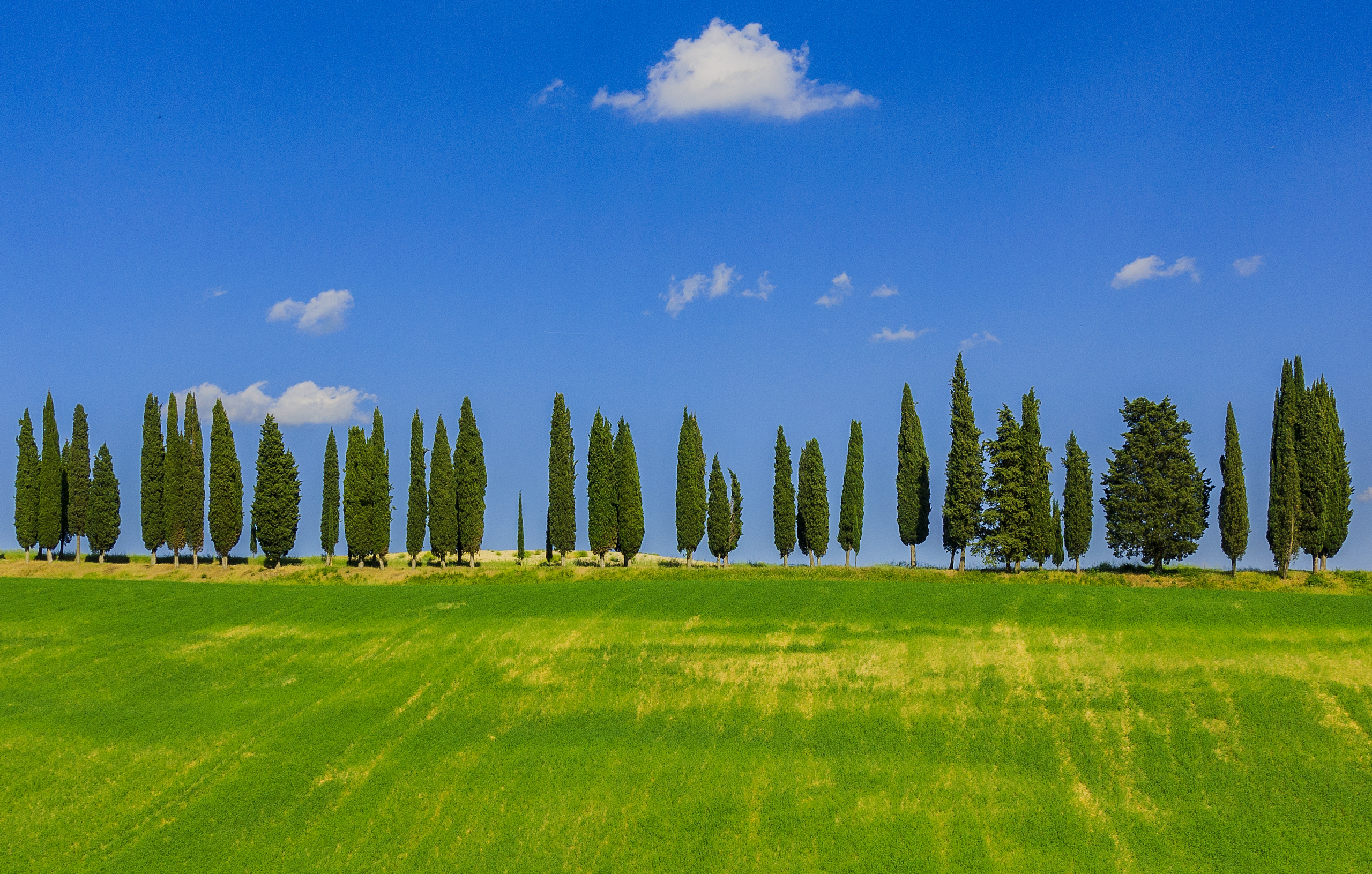 Itinerari al Fresco in Toscana: la vostra estate all’ombra