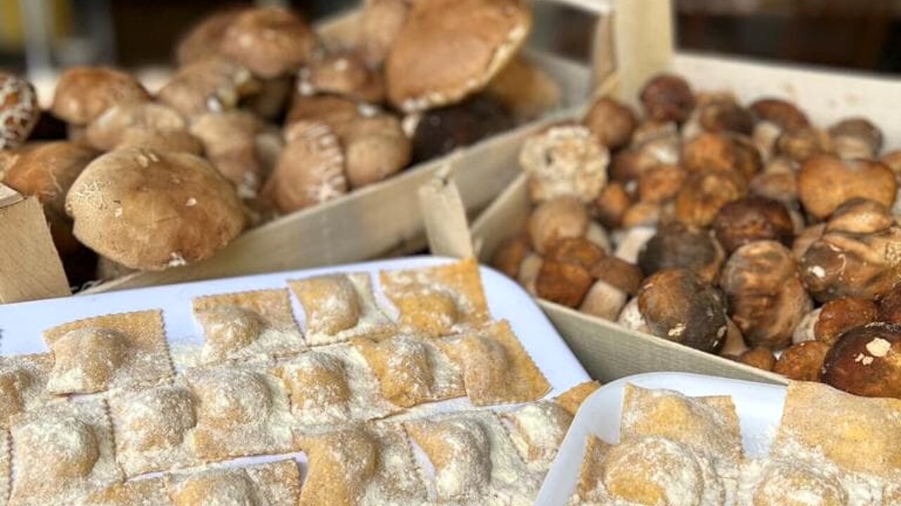 Alla Scoperta dei Sapori del Mugello: Sagra del Tortello e Porcino a Ronta