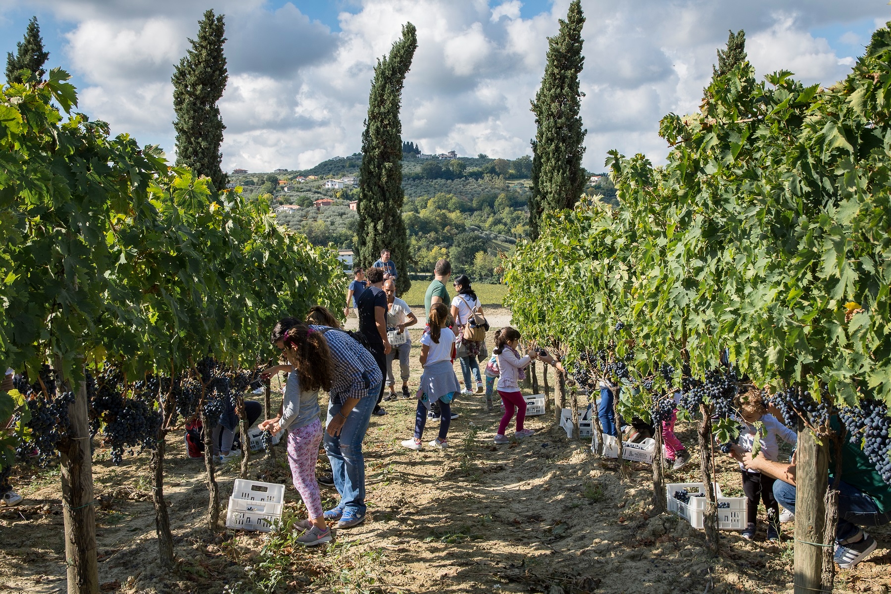 📅 Eventi e Sagre di Settembre in Toscana: il calendario completo 2026